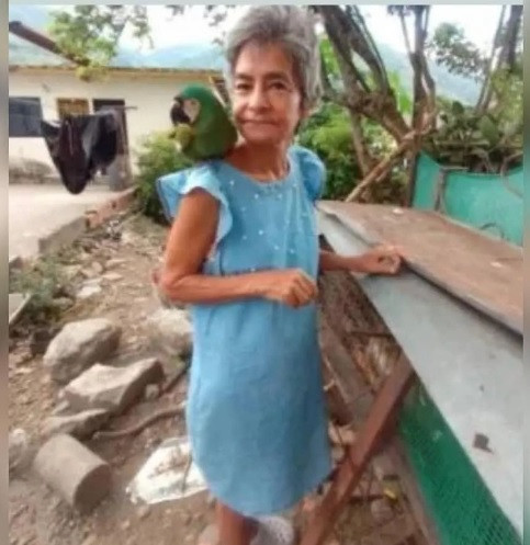 Diario Frontera, Frontera Digital,  Sucesos, ,Buscan a sexagenaria desaparecida en Mérida