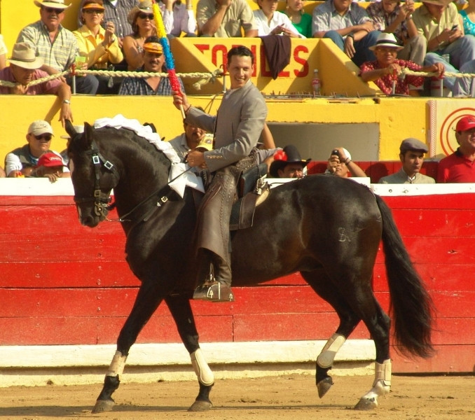 Diario Frontera, Frontera Digital,  Entretenimiento, ,Interesante festival de la dinastía Rodríguez Jauregui en El Vigía