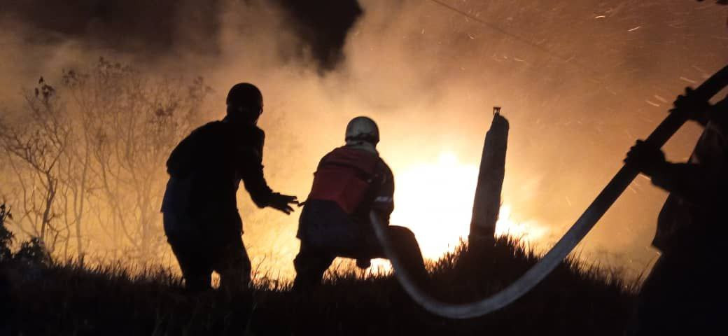 Diario Frontera, Frontera Digital,  Sucesos, ,Bomberos Mérida controló Incendios forestales en Tovar y Santa Cruz de Mora