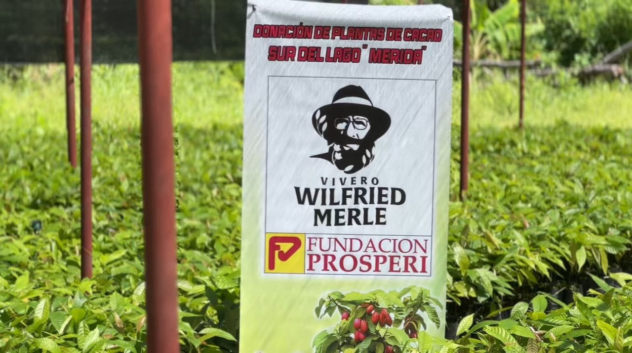 Diario Frontera, Frontera Digital,  Regionales, ,Jorge Theilen, miembro de la directiva de la Fundación Prosperi, explicó que, a través del vivero Wilfred Merle, la fundación brinda apoyo a los productores de cacao mediante la donación de plantas, con el objetivo de preservar la diversidad y el sabor del cacao de origen,Fundación Prosperi: Comprometidos con el Productor de Cacao