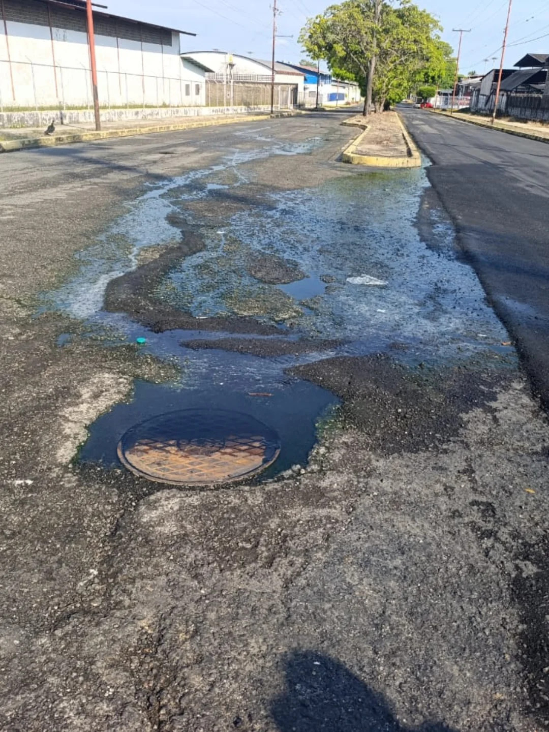 Diario Frontera, Frontera Digital,  El Vigía Panamericana, ,Desbordamiento de aguas negras atentan contra asfaltado de la Zona Industrial de El Vigía