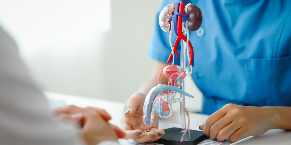 Diario Frontera, Frontera Digital,  Salud, ,Antecedentes familiares de cáncer de mama aumentan riesgo de cáncer de próstata
