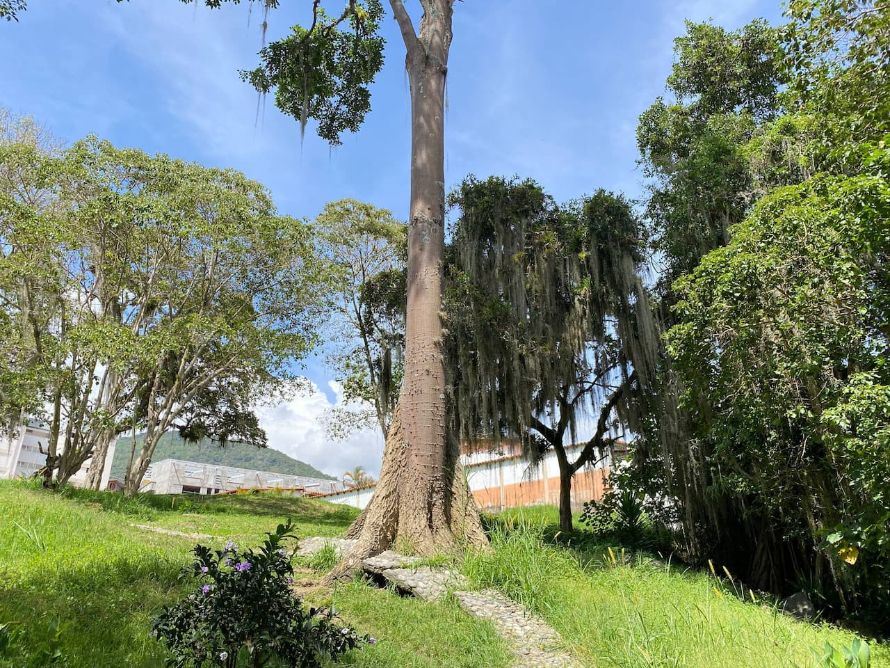 Diario Frontera, Frontera Digital,  Regionales, ,El Parque Albarregas: Un Oasis Verde que Atraviesa Mérida en diez tramos