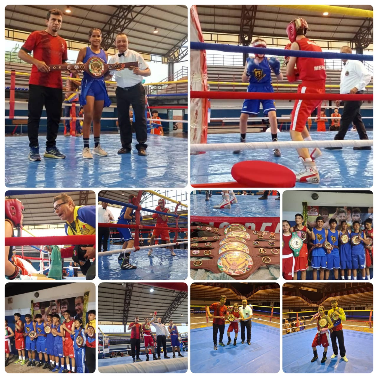 Diario Frontera, Frontera Digital,  Deportes, ,Mérida ganó el Primer Torneo Nacional Cinturón Edwin Valero