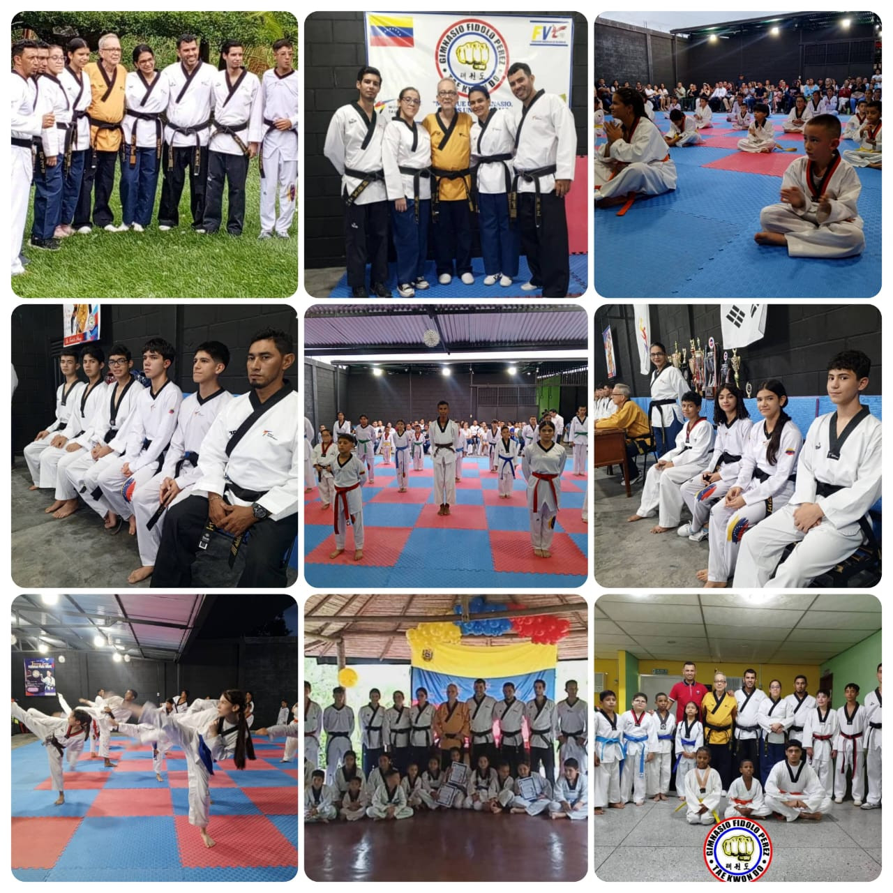 Diario Frontera, Frontera Digital,  El Vigía Panamericana, ,La organización de Taekwondo "Fidolo Pérez" realizó exámenes de ascenso de grado y cinturones