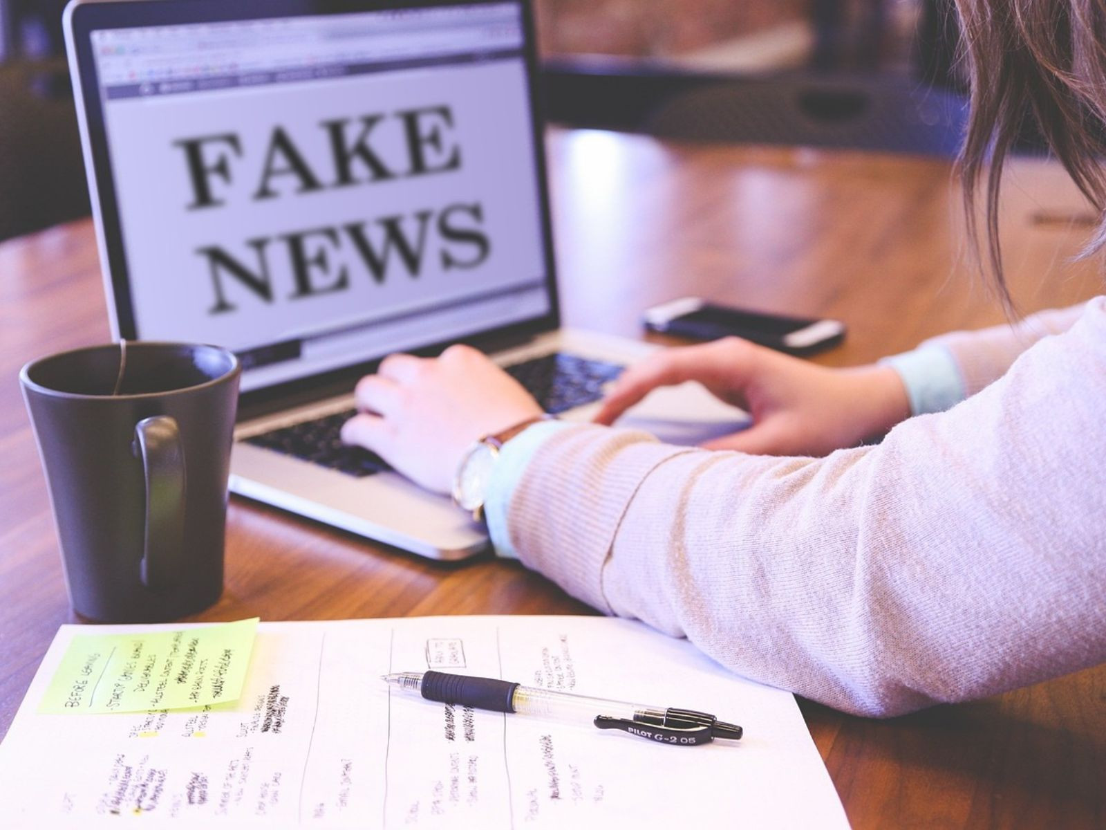 Diario Frontera, Frontera Digital,  Curiosidades, ,¿Cuáles fueron las noticias falsas que más circularon en 2025?