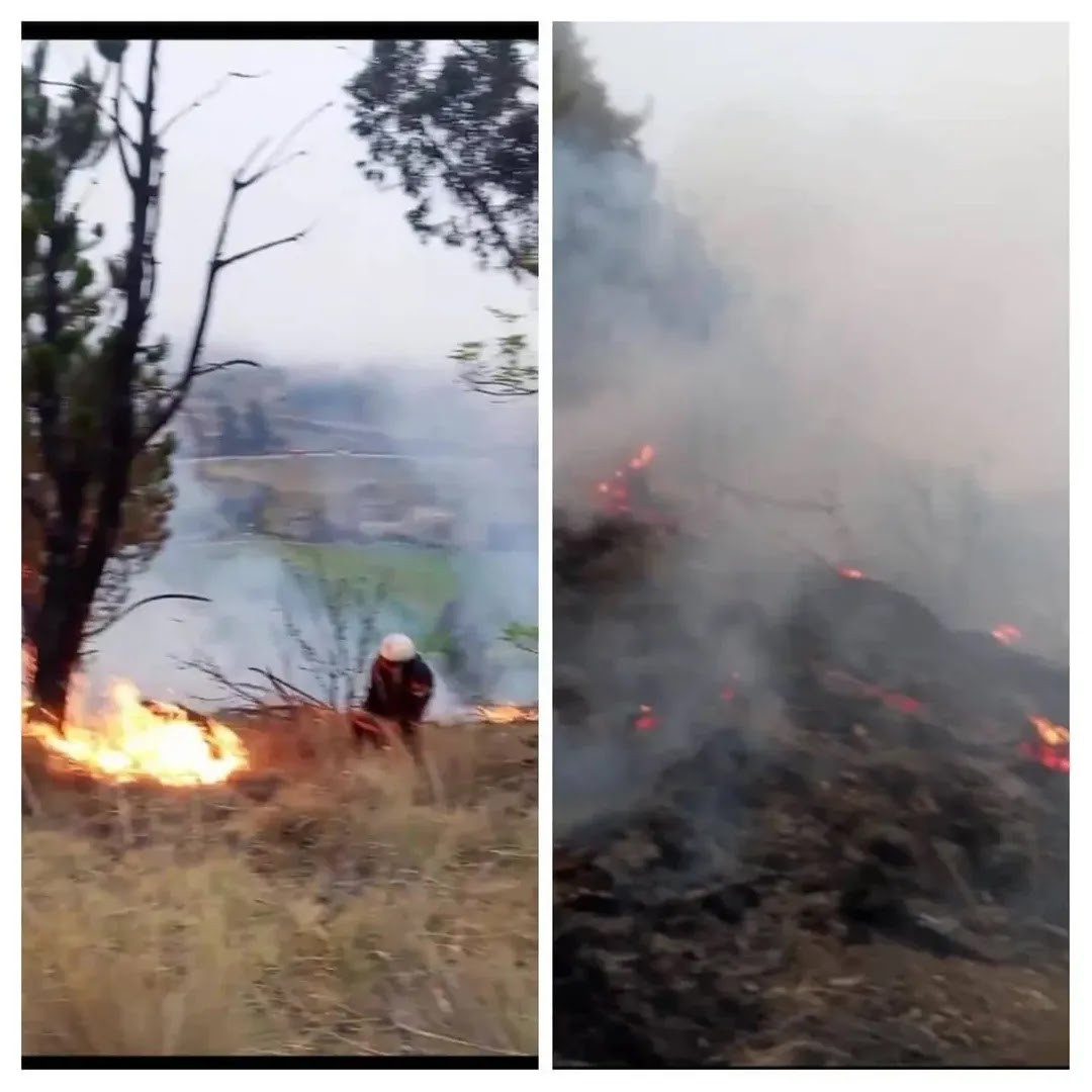 Diario Frontera, Frontera Digital,  Páramo, ,Bomberos Forestales e Inparques controlaron incendio de vegetación en Mucuchíes