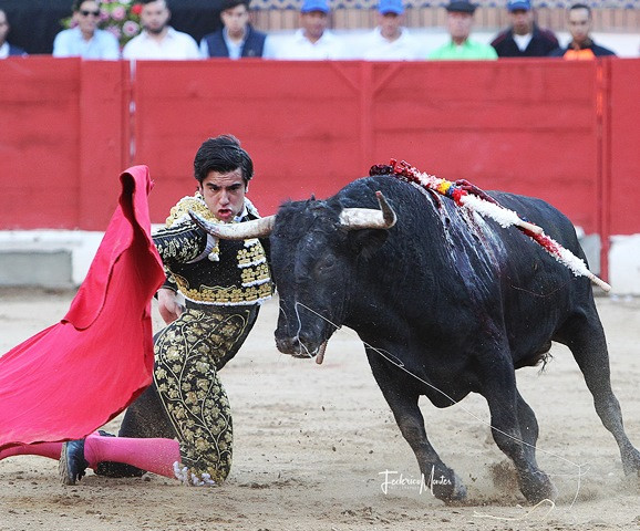 Diario Frontera, Frontera Digital,  Entretenimiento, ,FERIA DE SAN SEBASTIÁN – SEGUNDA DE ABONO │ Puerta Grande a De Justo y “Colombo” ante dispar encierro de Campolargo