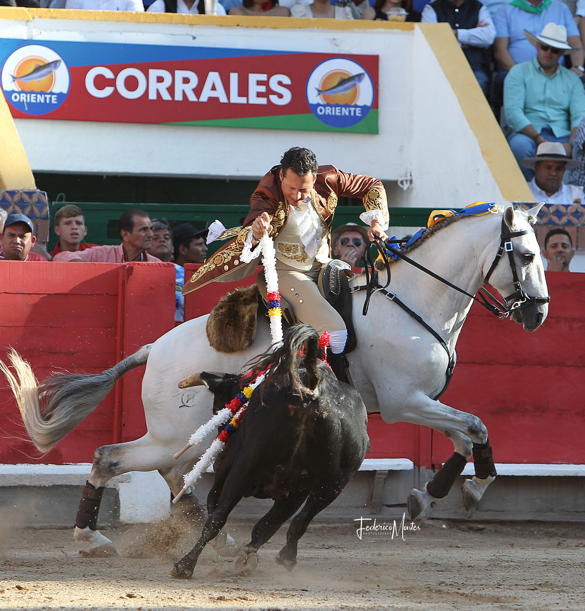 Diario Frontera, Frontera Digital,  Entretenimiento, ,Música y toros, aderezan una noche de fiesta brava merideña