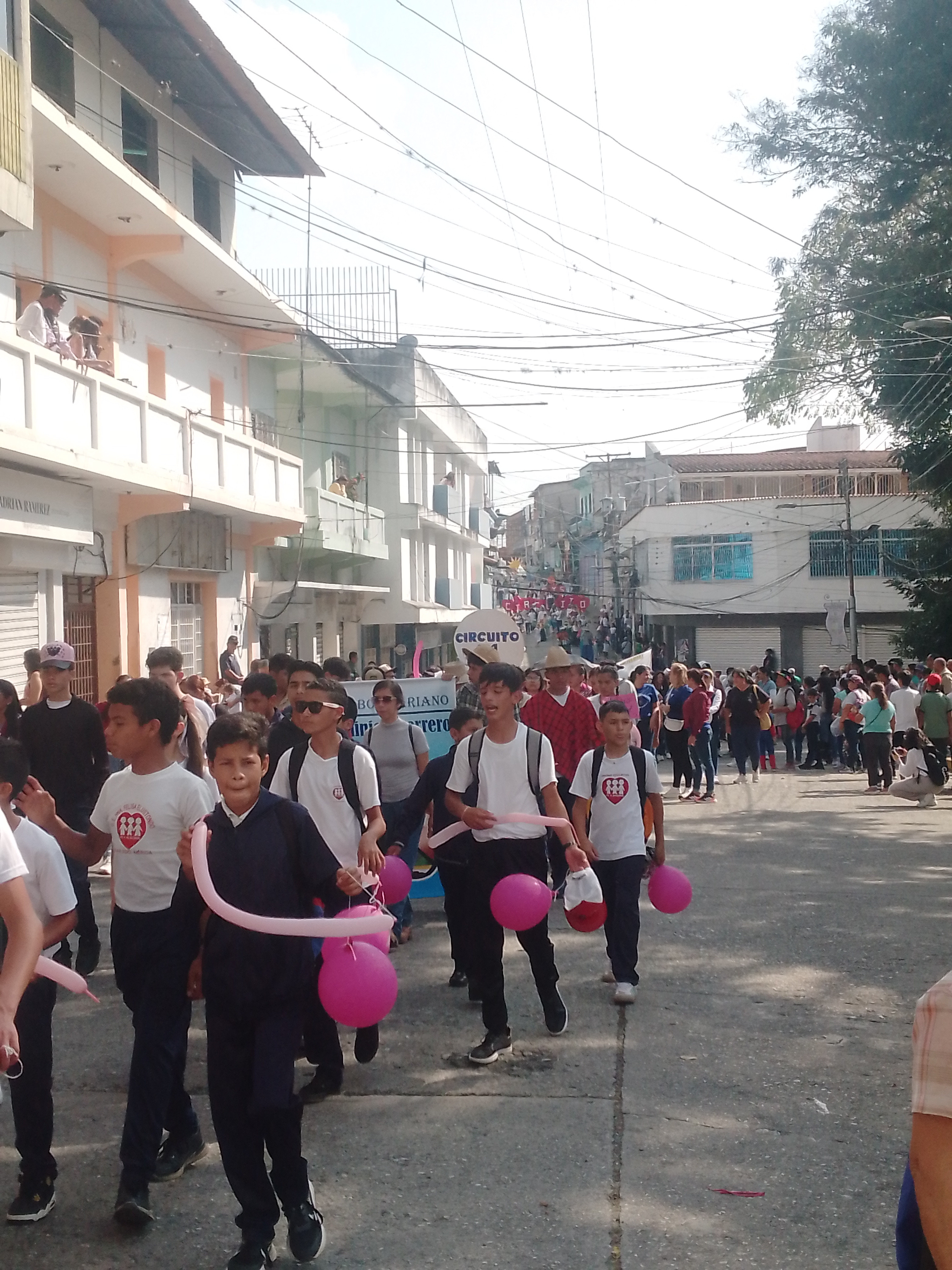 Diario Frontera, Frontera Digital, Mocoties, ,Desfile de Carnaval Tovar 2025