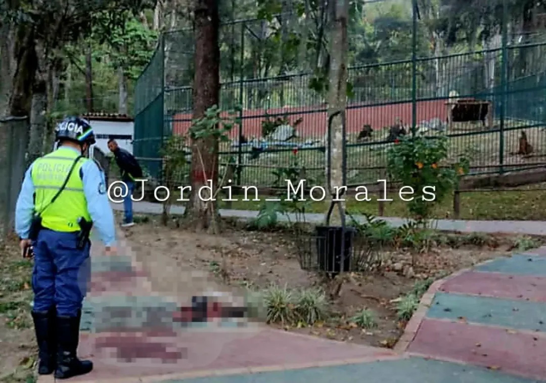 Diario Frontera, Frontera Digital,  Sucesos, ,Murió el vigilante que intentó acariciar a uno de los leones del zoológico de Mérida