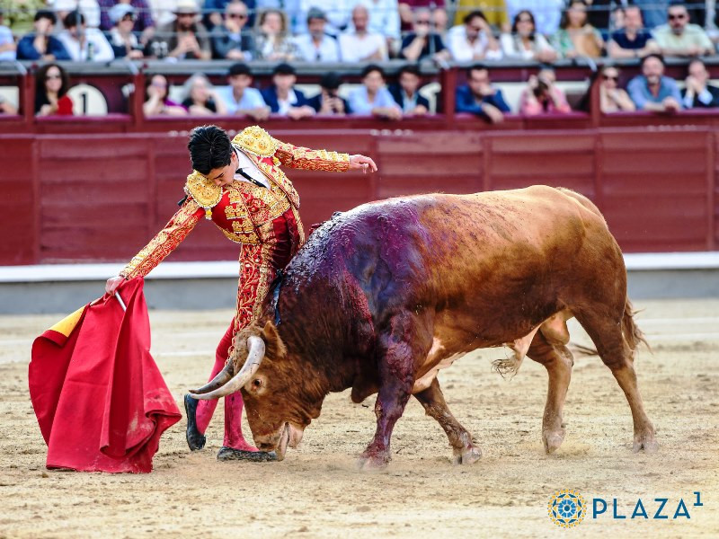 Diario Frontera, Frontera Digital,  Entretenimiento, ,Crónica de un gesto fallido: la raza de Marco Pérez no fue suficiente contra los elementos 
y el muro de su espada en una tarde hostil en Las Ventas