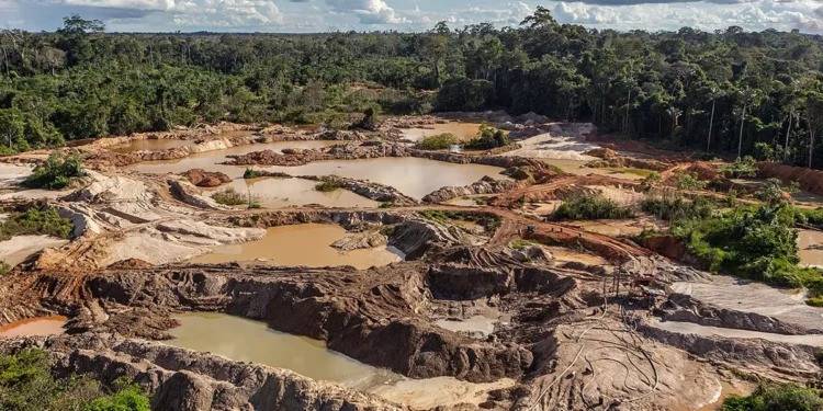 Diario Frontera, Frontera Digital,  Sucesos, ,Arrestan a cinco personas en Bolívar por «minería ilegal y la depredación ambiental»