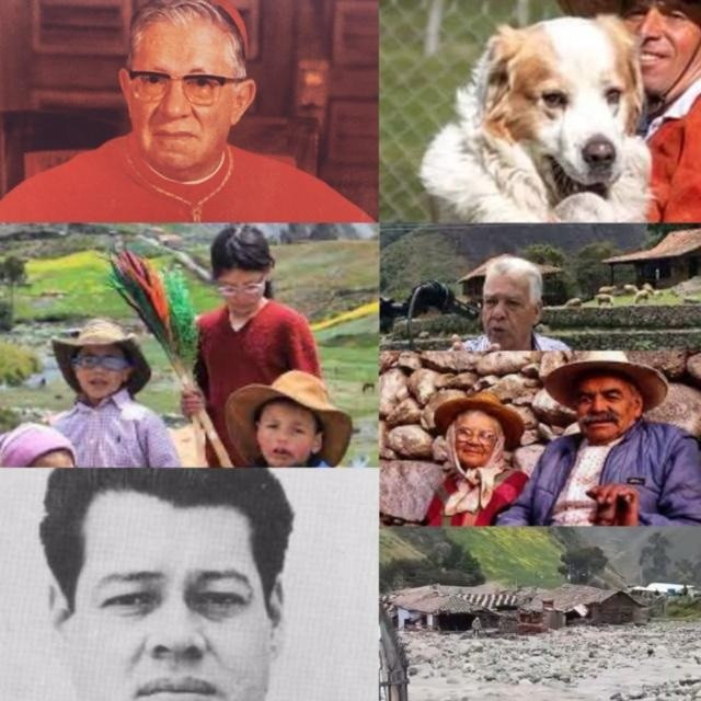 Diario Frontera, Frontera Digital,  Opinión, ,“Carrusel de La Fama, Patrimonio Cultural Intangible del estado Mérida” del domingo 06 de julio de 2025, por Néstor Trujillo Herrera (PARTE I)