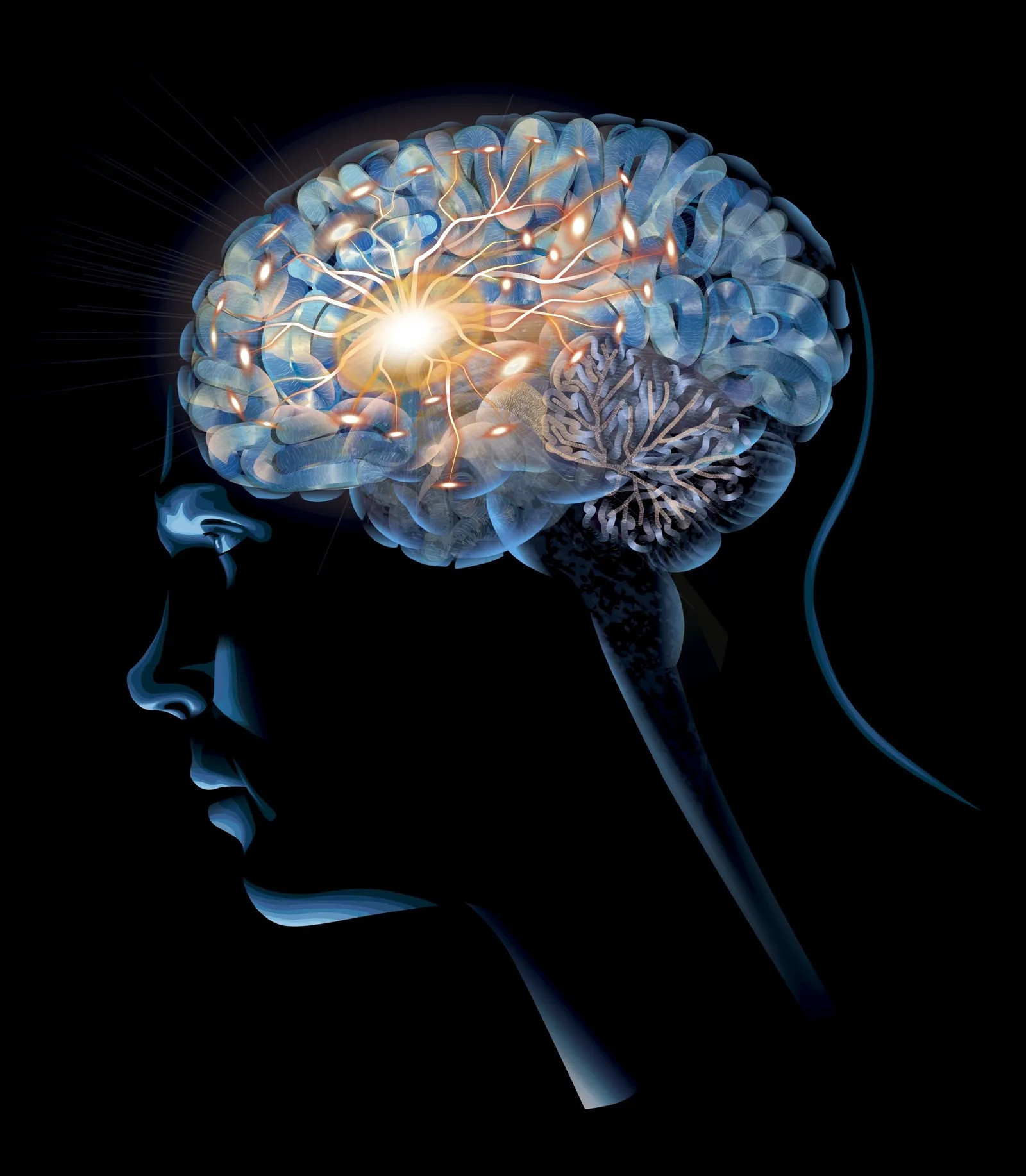 Diario Frontera, Frontera Digital,  Salud, ,Dr. Hilarión Araujo: Día mundial del Cerebro