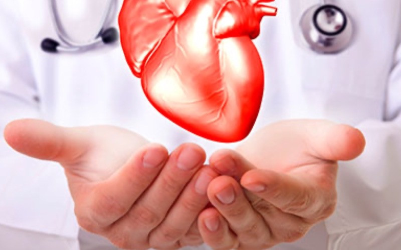 Diario Frontera, Frontera Digital,  Salud, ,Sociedad Venezolana de Cardiología alerta sobre alarmante aumento de enfermedades cardiovasculares en Venezuela