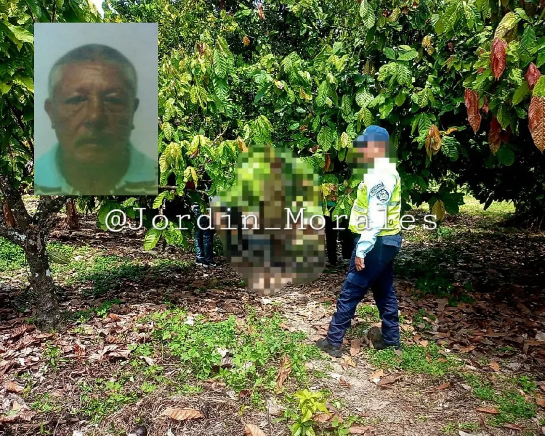 Diario Frontera, Frontera Digital,  Sucesos, ,Dos hombres se ahorcaron en la zona Panamericana de Mérida