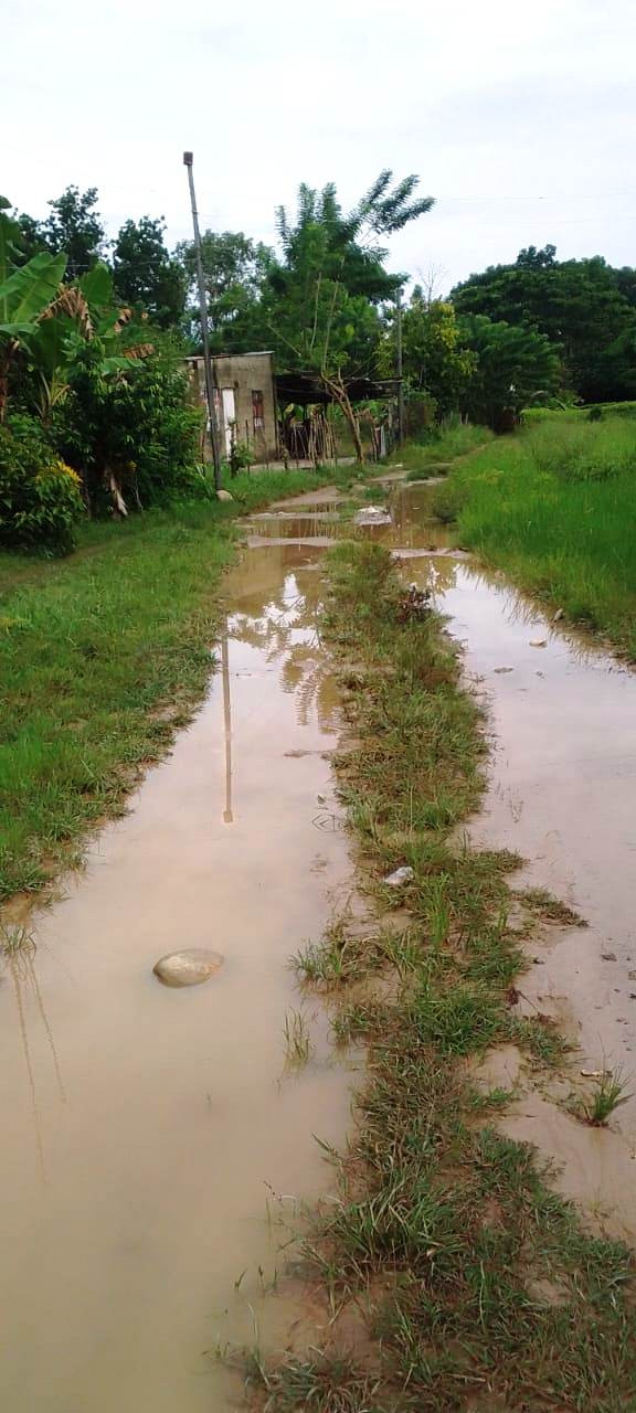 Diario Frontera, Frontera Digital,  El Vigía Panamericana, ,Habitantes del sector Francisco de Miranda, pasos antes del puente Onia de #ElVigía, municipio Alberto Adriani solicitan al alcalde Lisandro Segura el apoyo para patrolear el camellón del luga,En el sector Francisco de Miranda de El Vigía solicitan al Alcalde patroleo y cunetas