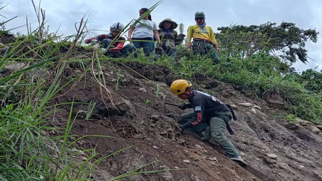 Diario Frontera, Frontera Digital,  Regionales, ,Más de 4.200 árboles se han plantado en Mérida como parte su plan de reforestación tras las lluvias