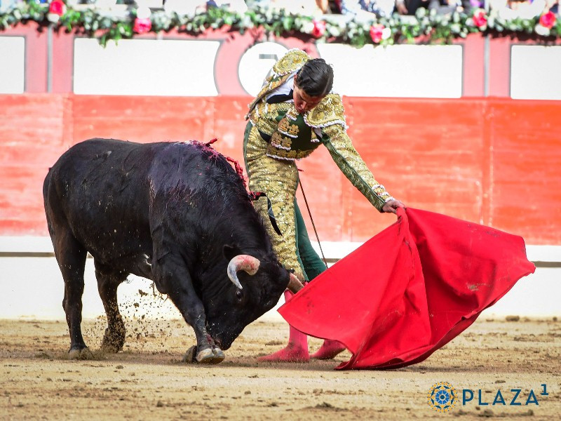 Diario Frontera, Frontera Digital,  Entretenimiento, ,Ruedos ibéricos y galos son la mejor escuela para formar nuestros toreros del futuro