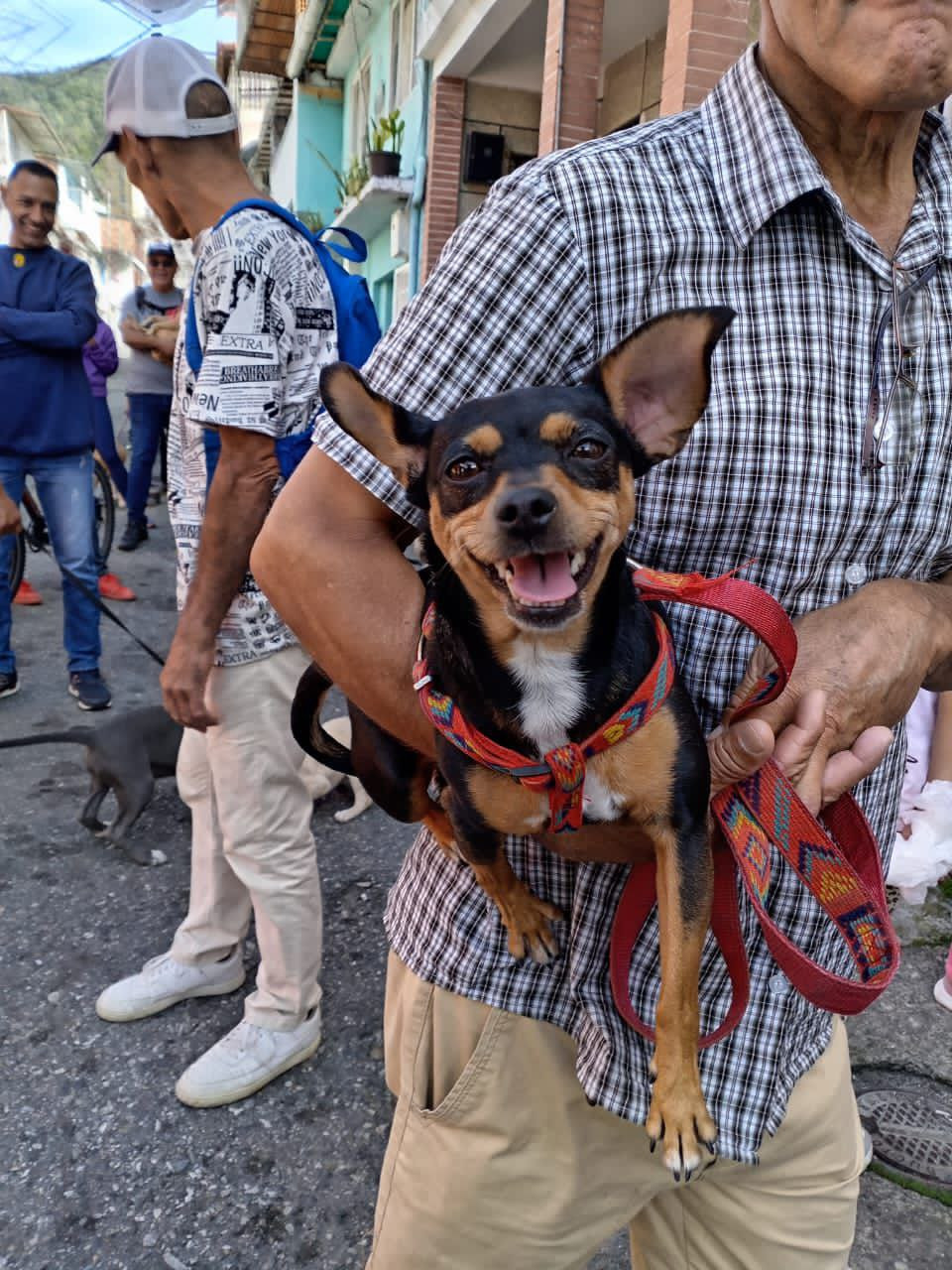 Diario Frontera, Frontera Digital,  Regionales, ,Gobernación de Mérida desarrolló jornada veterinaria integral en el sector San José