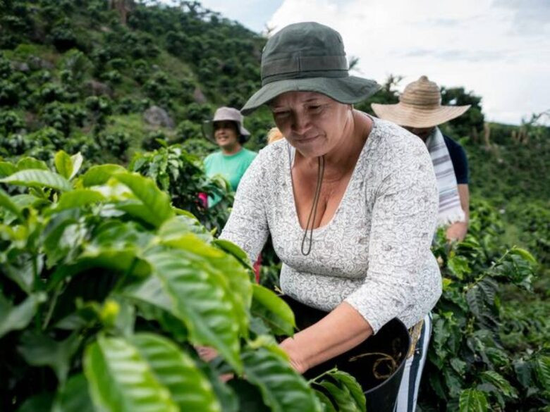 Diario Frontera, Frontera Digital,  Internacionales, ,FAO indica que mujeres son más vulnerables a la inseguridad alimentaria