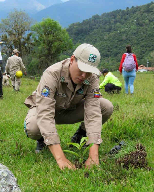 Diario Frontera, Frontera Digital,  Regionales, ,Más de 4000 árboles fueron sembrados en jornada de reforestación en Mérida