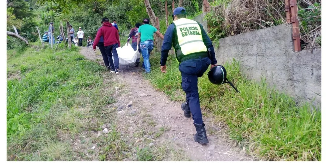 Diario Frontera, Frontera Digital,  Sucesos, ,Se suicidó agricultor de 75 años en el sector San Isidro