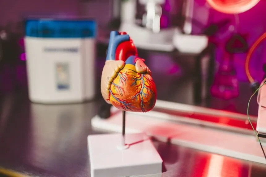 Diario Frontera, Frontera Digital,  Tecnología, ,Científicos crearon una IA que busca prevenir infartos oyendo los latidos