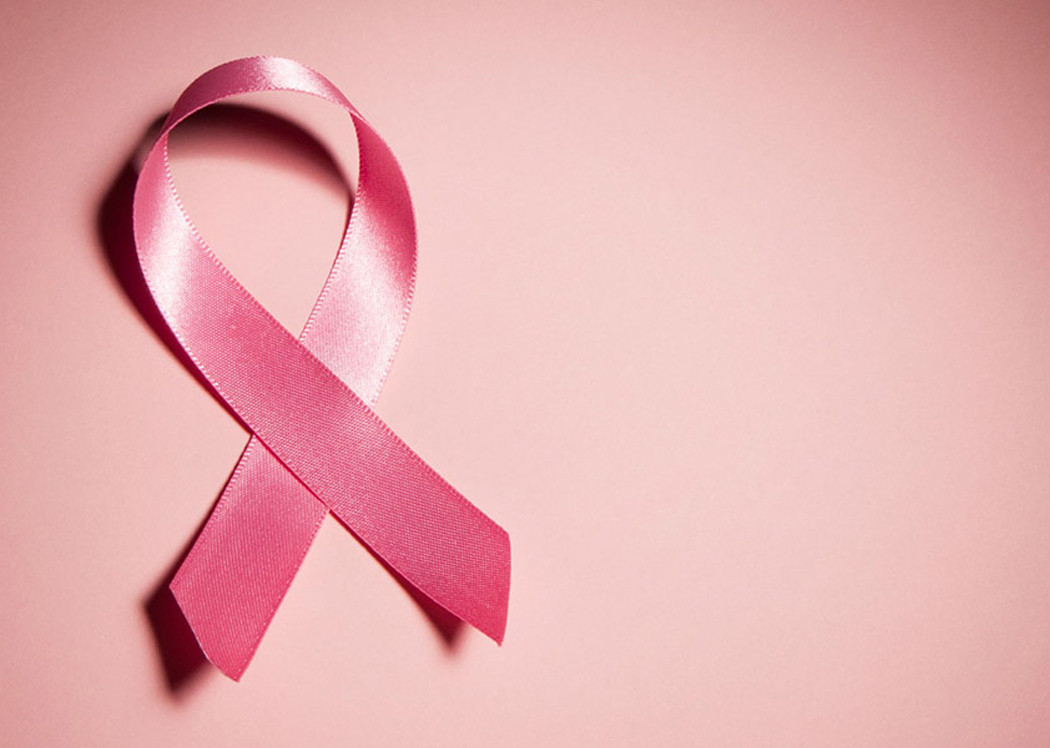 Diario Frontera, Frontera Digital,  Regionales, ,Causa Rosa impulsa actividades en Mérida 
en el marco de la lucha nacional contra el cáncer de mama