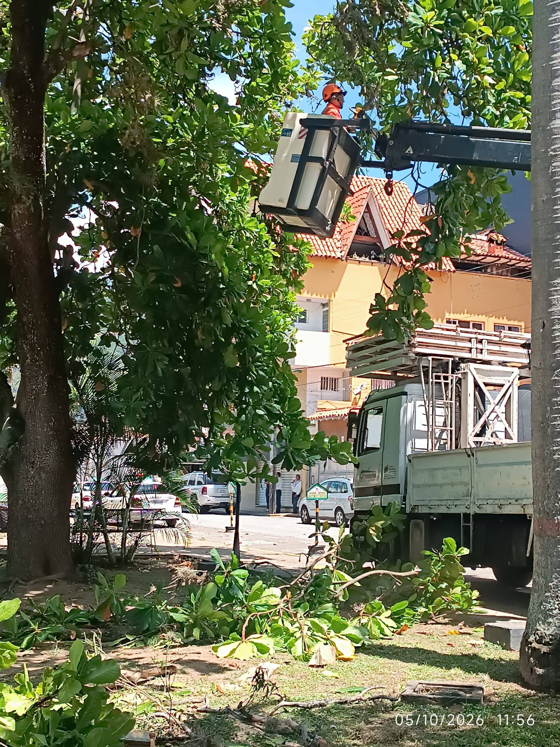 Diario Frontera, Frontera Digital,  Regionales, ,José Ruz, director de Mantenimiento, informó que fueron podados varios árboles afectados, además de palmas secas que representaban un riesgo para quienes transitan por el lugar,Alcaldía renueva la plaza de La Parroquia para el disfrute de todos
