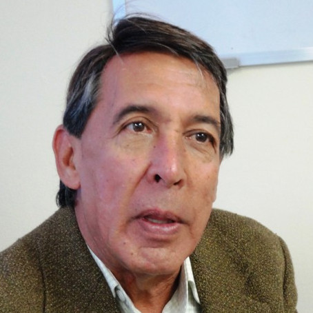 Frontera Digital,  Opinión,  La consagración del disparate por Antonio José Monagas