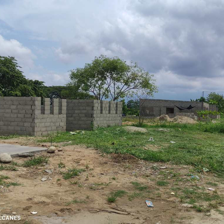 Frontera Digital, Diario Frontera, Denuncian invasión de terrenos destinados a la Gran Misión Vivienda en Alberto Adriani