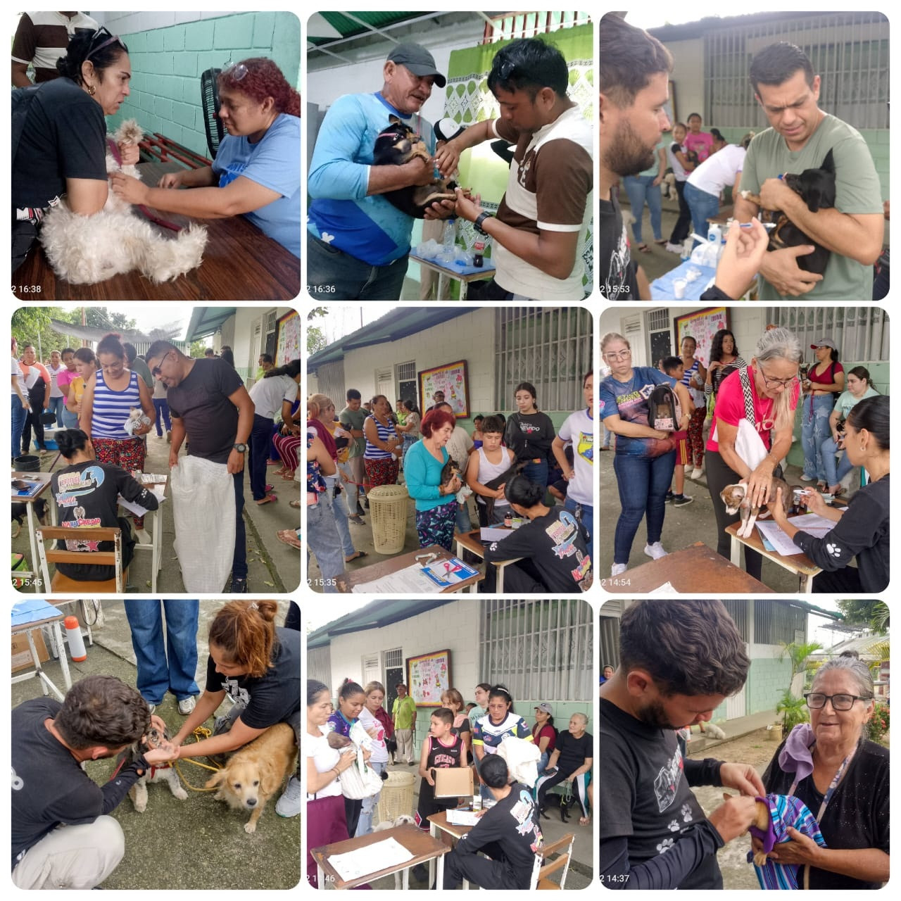 Diario Frontera, Frontera Digital,  El Vigía Panamericana, ,Estudiantes realizaron una jornada de desparasitación a caninos y felinos en El Vigía