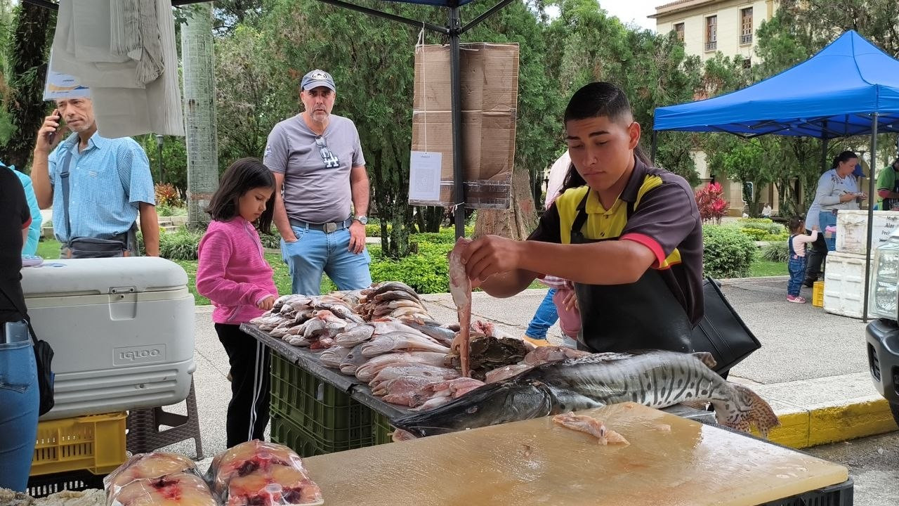 Diario Frontera, Frontera Digital,  Regionales, ,Jornada “Venezuela come más pescado” se despliega en Mérida