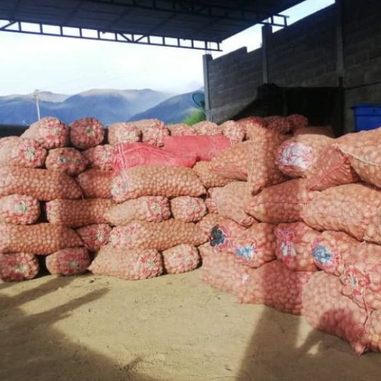 Frontera Digital,  Regionales, Páramo,  Productores andinos denuncian niveles «críticos» de contrabando de hortalizas desde Colombia