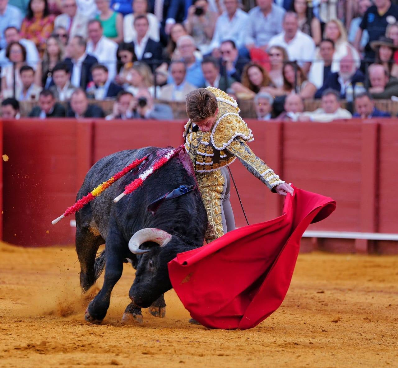 Diario Frontera, Frontera Digital,  Entretenimiento, ,De los seis victorinos, saltaron cuatro cinqueños y sólo dos cuatreños,El pecado mortal de Borja Jiménez y Victorino Martín en Sevilla