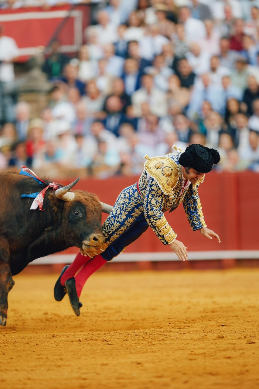 Diario Frontera, Frontera Digital,  Internacionales, Entretenimiento, ,Como ofrenda se presentó Morante ante el toro. Ante cualquier toro. Porque lo hace absolutamente con todos, echando raíces como los ficus centenarios de los jardines de Murillo. Pero el cuarto, Clandestino de bautismo, no lo perdonó,Morante paga con una cornada muy grave su ofrenda absoluta en Sevilla