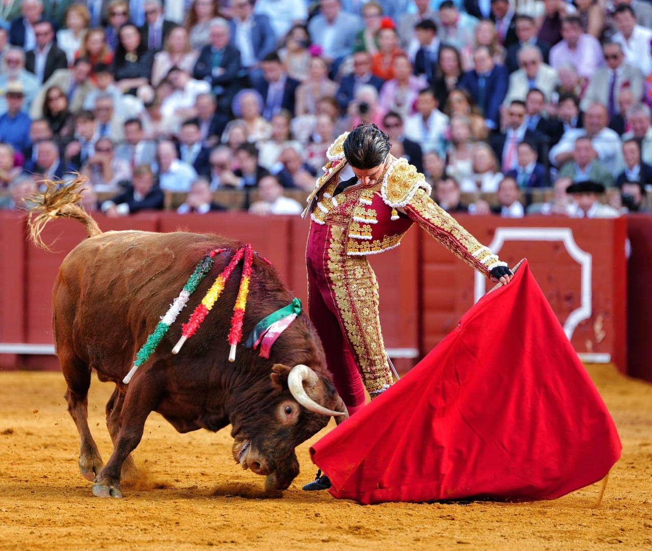 Diario Frontera, Frontera Digital,  Entretenimiento, ,El Talavante de la ilusión con un superclase de Cuvillo