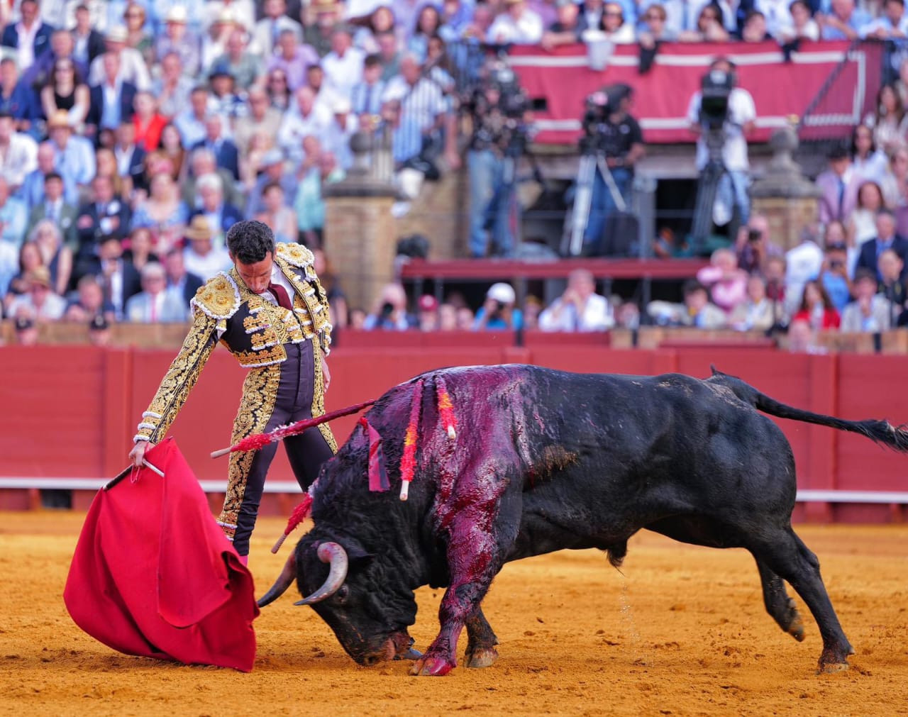 Diario Frontera, Frontera Digital,  Entretenimiento, ,Triunfó David de Miranda, que sacó la escoba. Que se aten las figuras los machos, que viene dispuesto a barrer y, además, quieren verlo.,David de Miranda saca la escoba: otra vez Príncipe en Sevilla