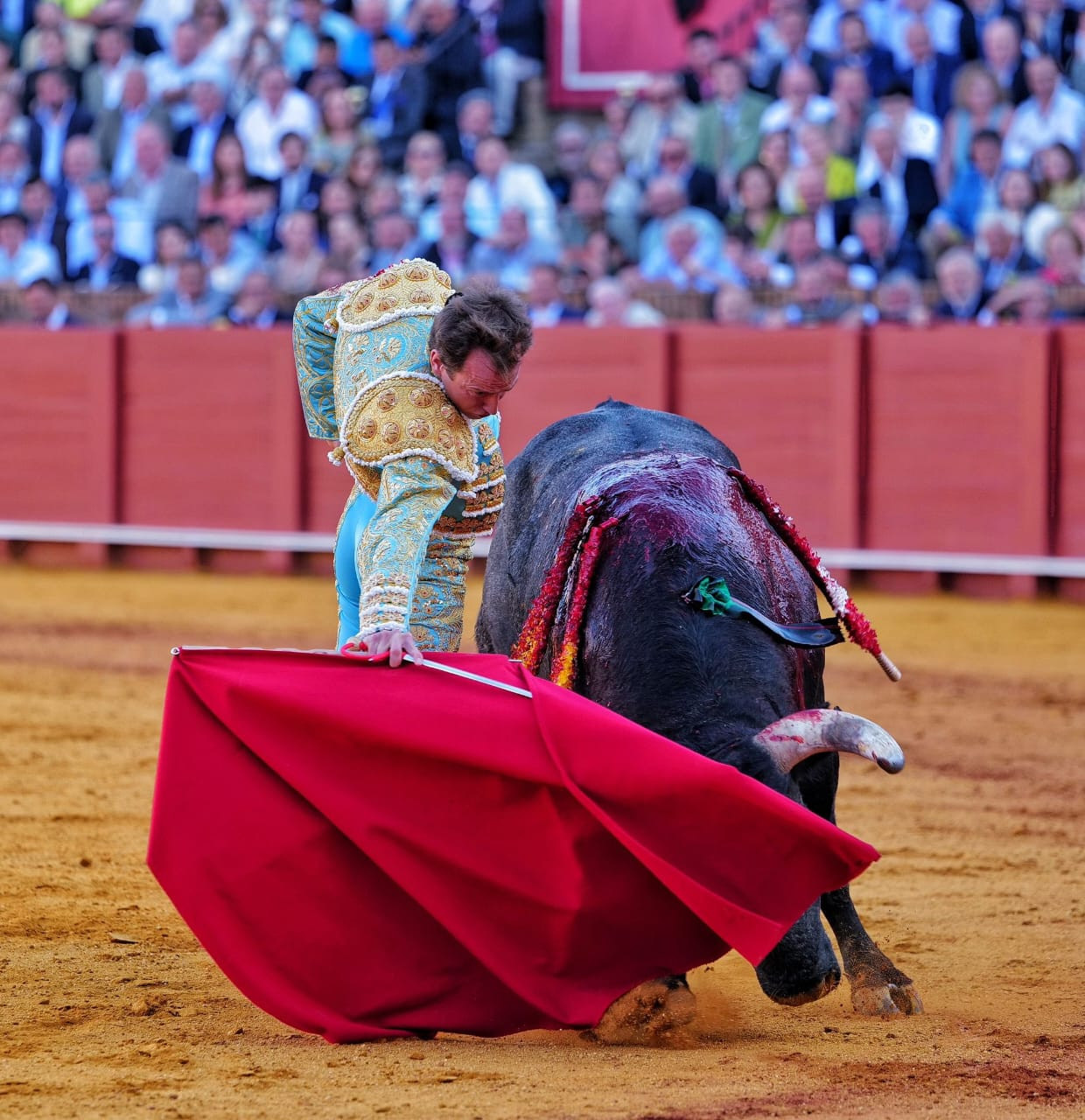 Diario Frontera, Frontera Digital,  Entretenimiento, ,Un gran «Lamparillo» en una miurada con muchos perejiles