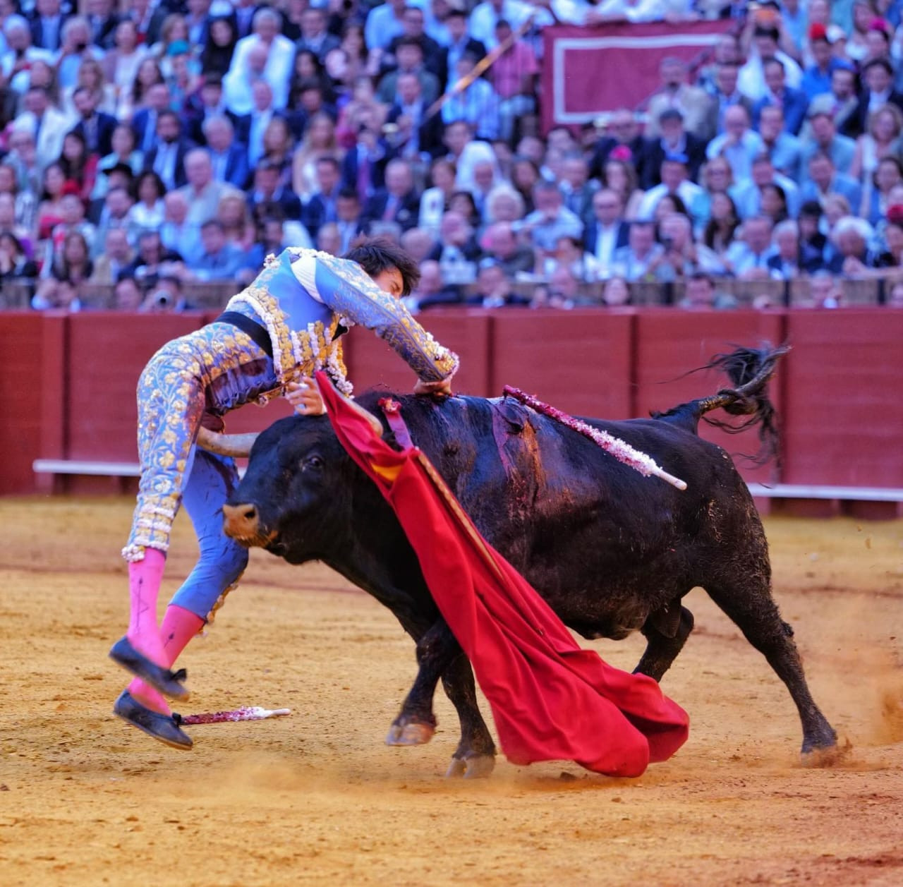 Diario Frontera, Frontera Digital,  Entretenimiento, ,A las ocho y treinta y siete caía herido Roca Rey al entrar a matar. Se le vino el toro de Cortés y el peruano no dudó: con rectitud de vela se tiró encima de Soleares, que no perdonó tanta verdad y hundió el pitón en el muslo, con mucha saña, girando en dos direcciones en eternos segundos, arriba y abajo,Roca Rey se agarra al número 1 con sangre y autoridad