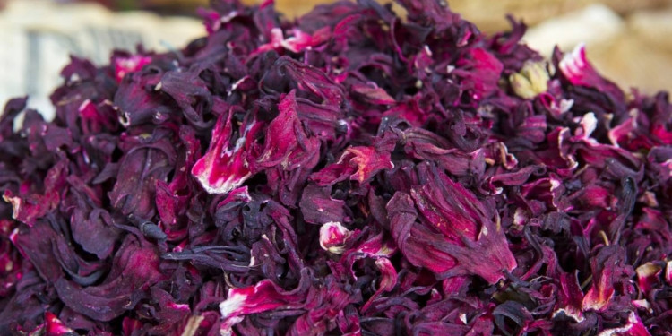 Diario Frontera, Frontera Digital,  Salud, ,Esta planta es originaria de África Tropical, desde los países Egipto y Sudán hasta Senegal, las propiedades de la Flor de Jamaica se han utilizado a lo largo de los años porque además de contribuir con la salud, mantiene un delicioso sabor,El poder de la Flor de Jamaica para la salud, según estudios