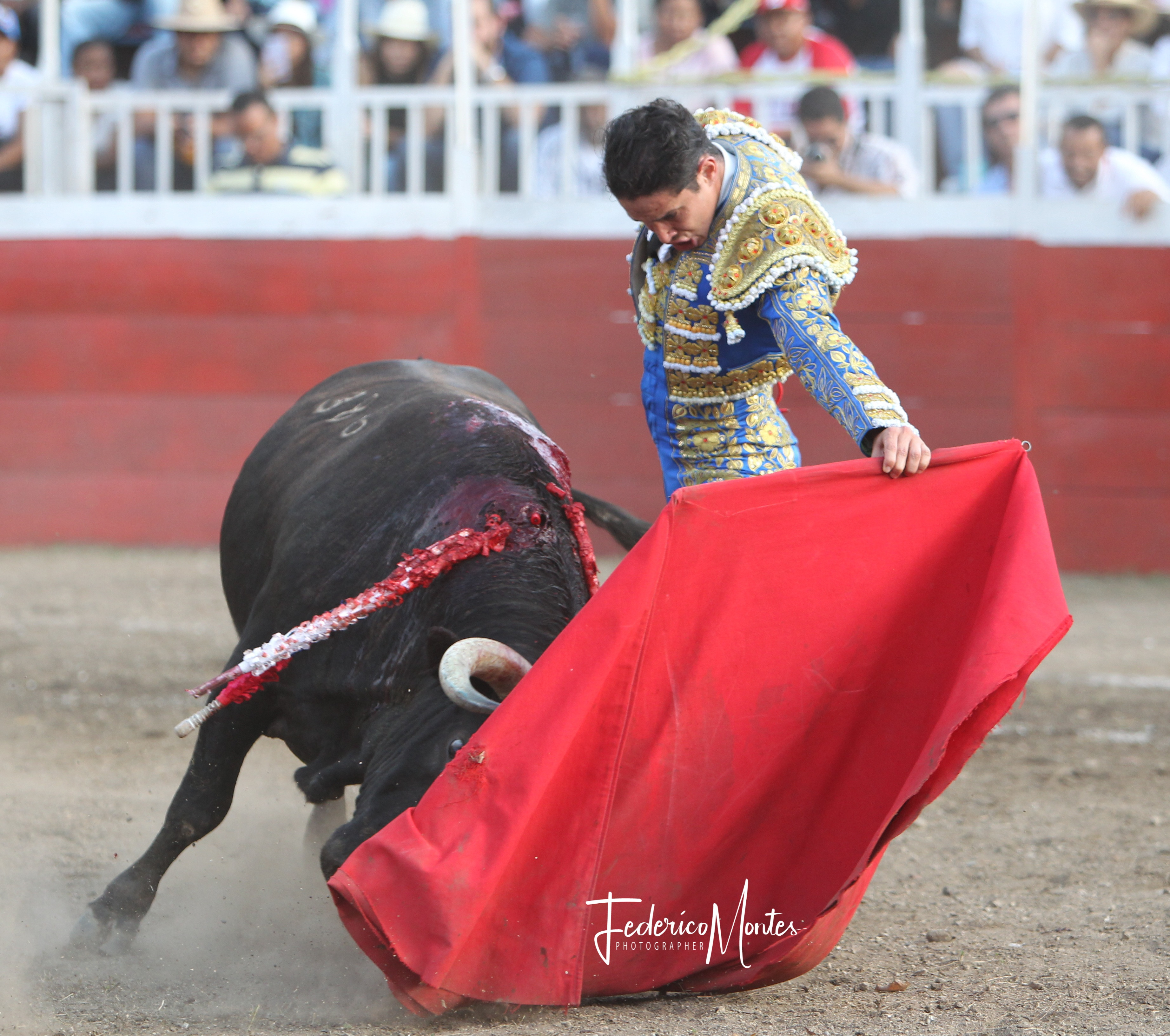 Diario Frontera, Frontera Digital,  Entretenimiento, ,A hombros “El Rubi” y Suárez en Achaguas ante reses de Los Aránguez