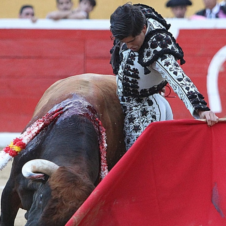 Frontera Digital,  Entretenimiento,  Amplia cartelería de toreros para la Feria de Valera 2026