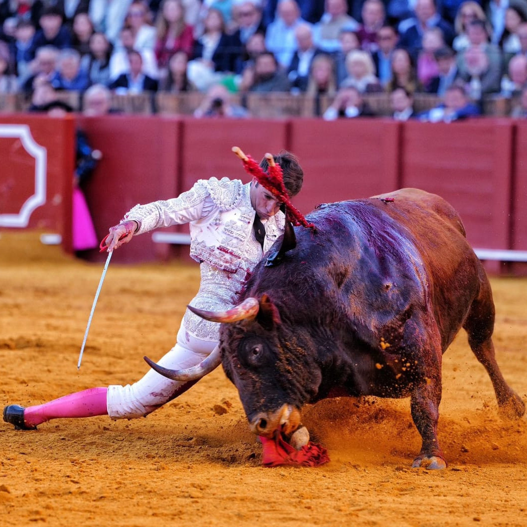Frontera Digital,  Entretenimiento,  El natural aplomo de Álvaro Lorenzo con el paisaje de fondo de la batalla 
de Rafa Serna y «Escogeperro» en Sevilla