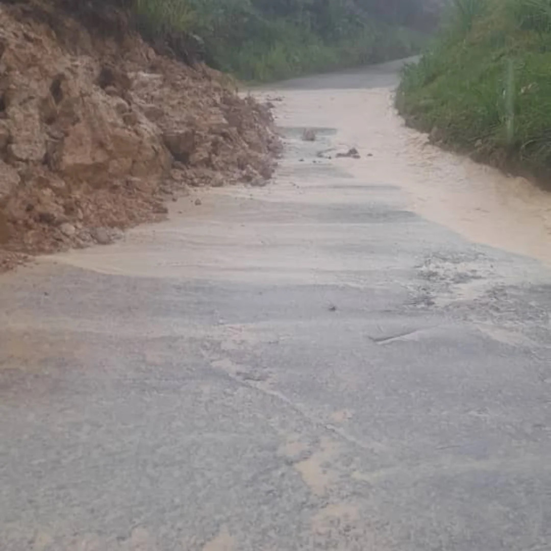 Frontera Digital, Diario Frontera, Lluvias generan deslaves en la vía El Vigía - La Palmita