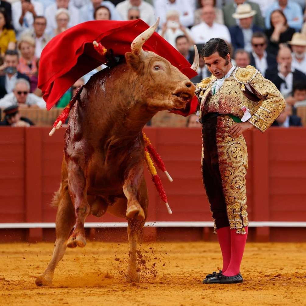 Diario Frontera, Frontera Digital,  Entretenimiento, 