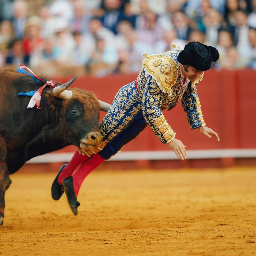 Frontera Digital, Diario Frontera, Morante paga con una cornada muy grave su ofrenda absoluta en Sevilla