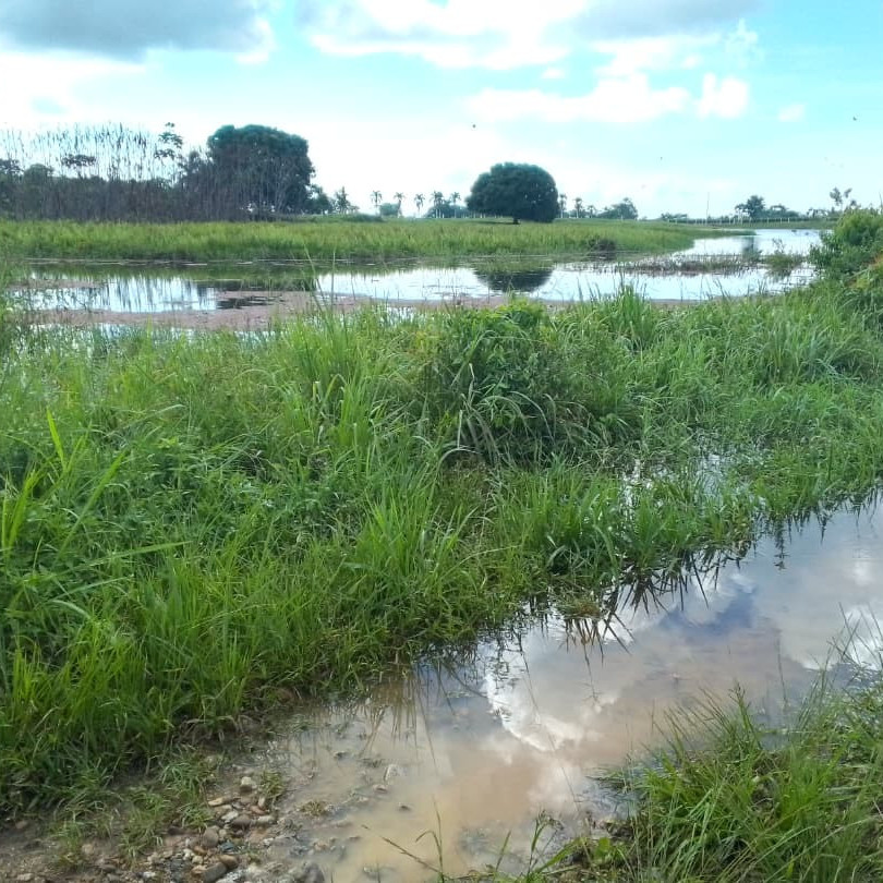 Frontera Digital, Diario Frontera, Alcaldía de Zea evalúa situación de laguna en Casa Blanca para prevenir riesgos viales